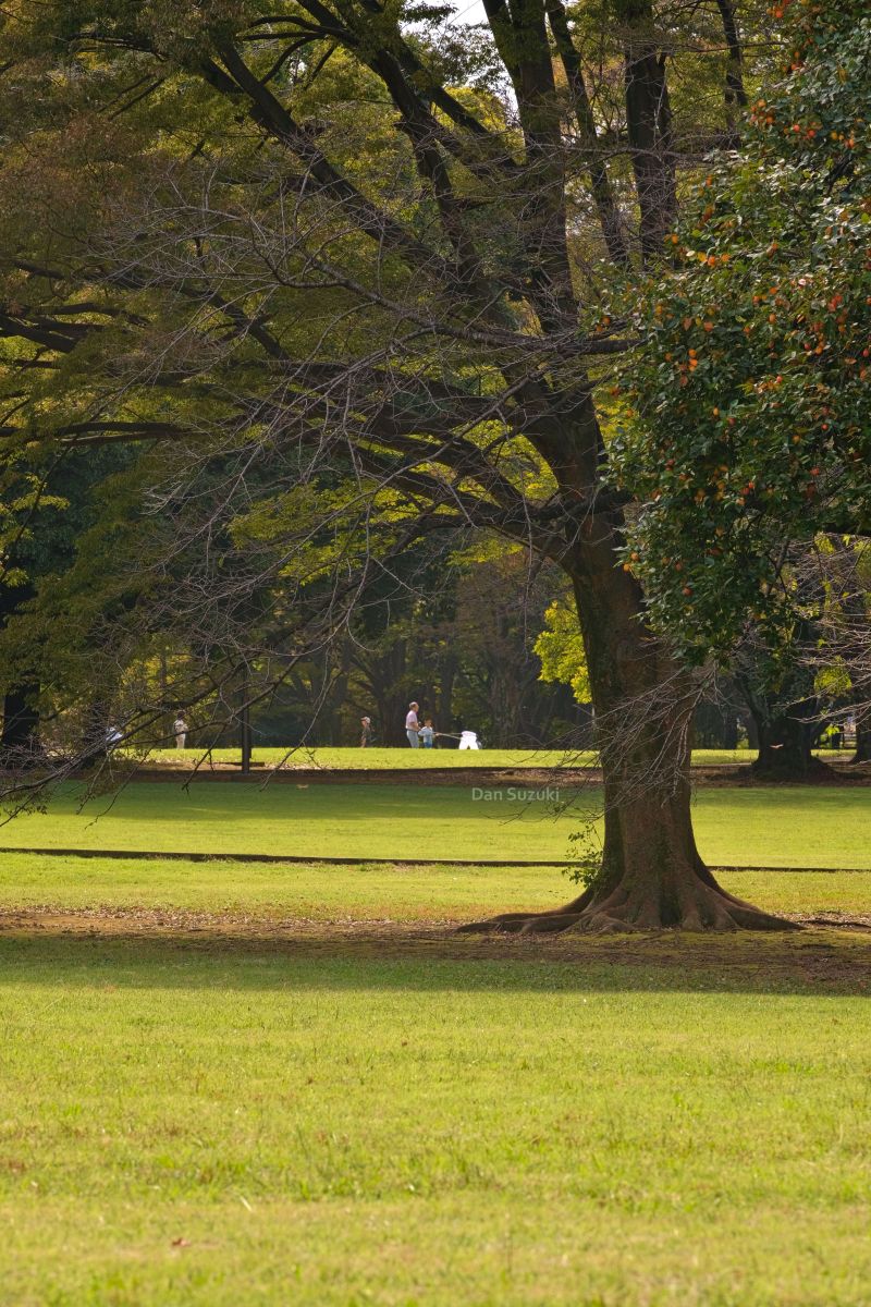 On Display PROJECT FARSIGHTED