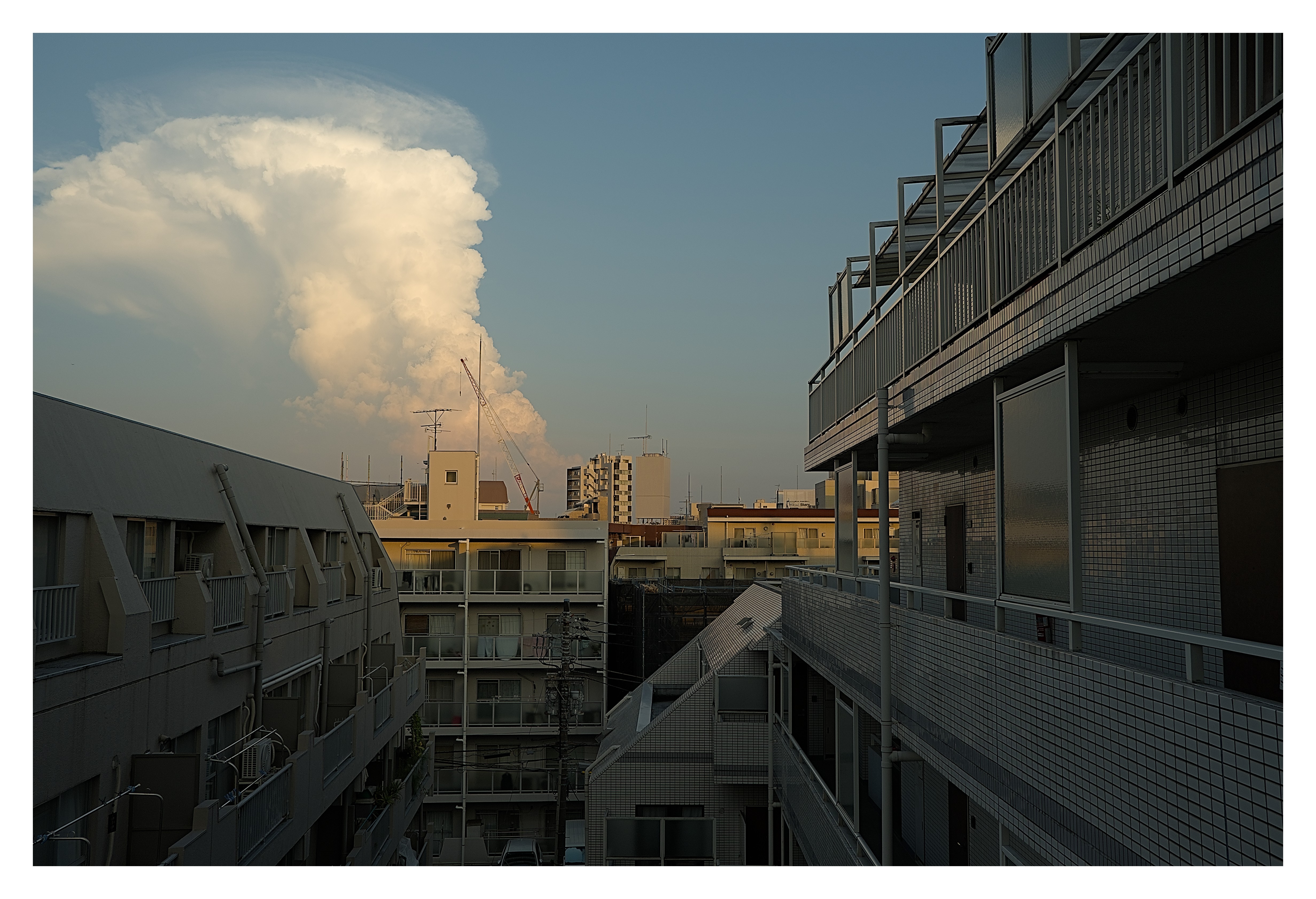 2025 August 30 – PROJECT FARSIGHTED